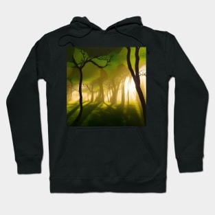 Otherwordly Woods in a Fantasy Land Hoodie